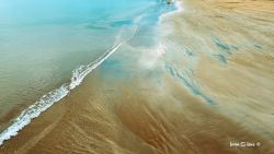 sicip member Bhupinder Randhawa