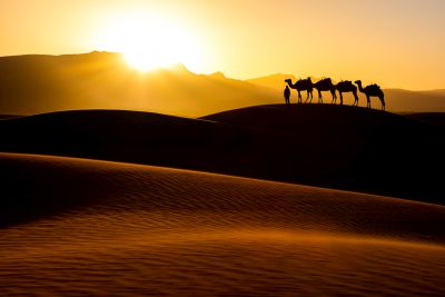 an example of the images created by Lee Charlton